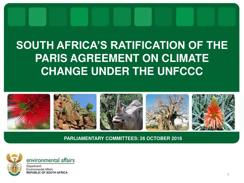 south africa s ratification of the paris agreement on climate change under the unfccc