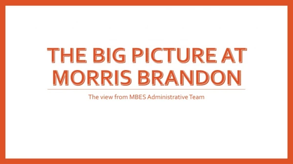 The big picture at Morris Brandon