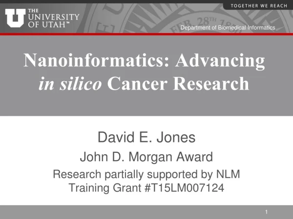 Nanoinformatics: Advancing in silico Cancer Research