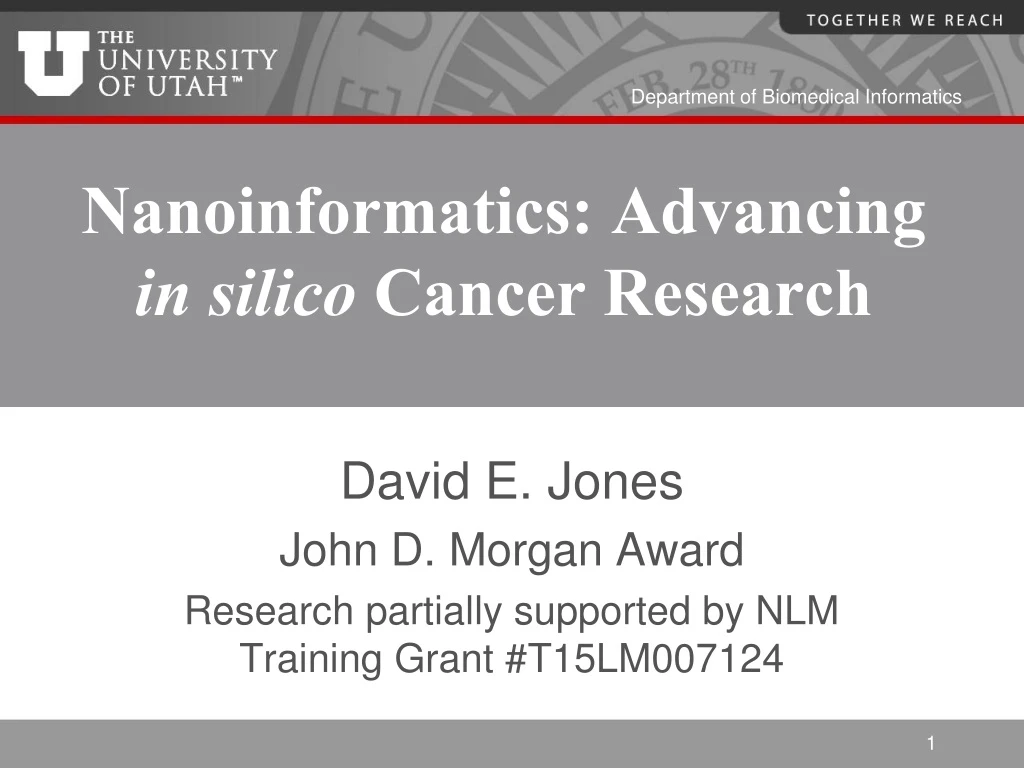 nanoinformatics advancing in silico cancer research
