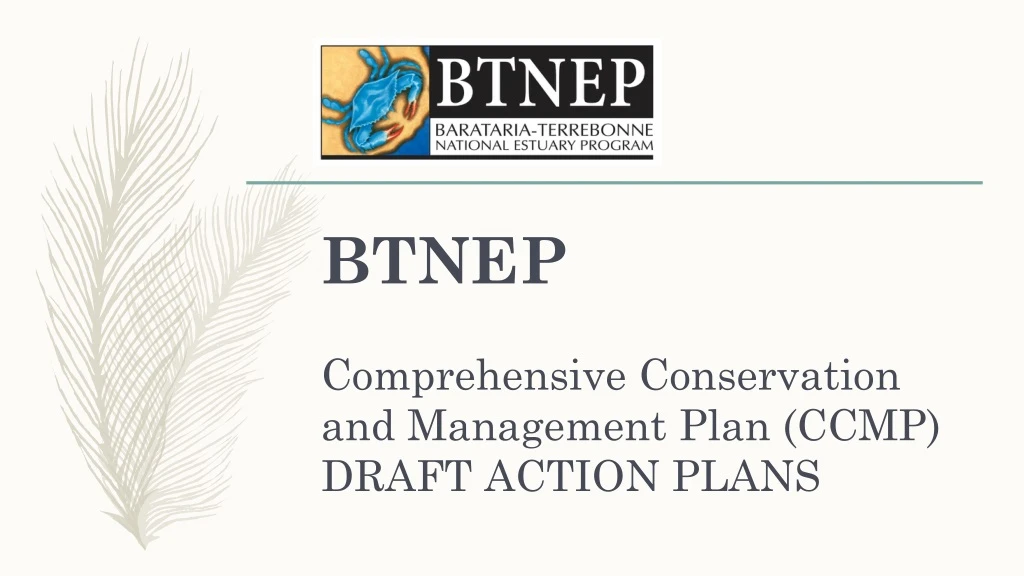 btnep comprehensive conservation and management plan ccmp draft action plans