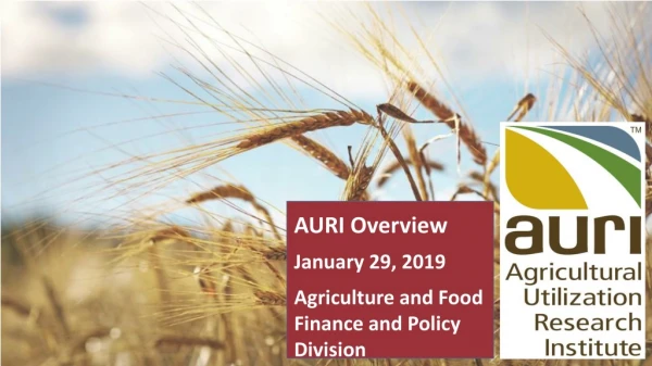 AURI Overview January 29, 2019 Agriculture and Food Finance and Policy Division