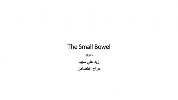 The Small Bowel