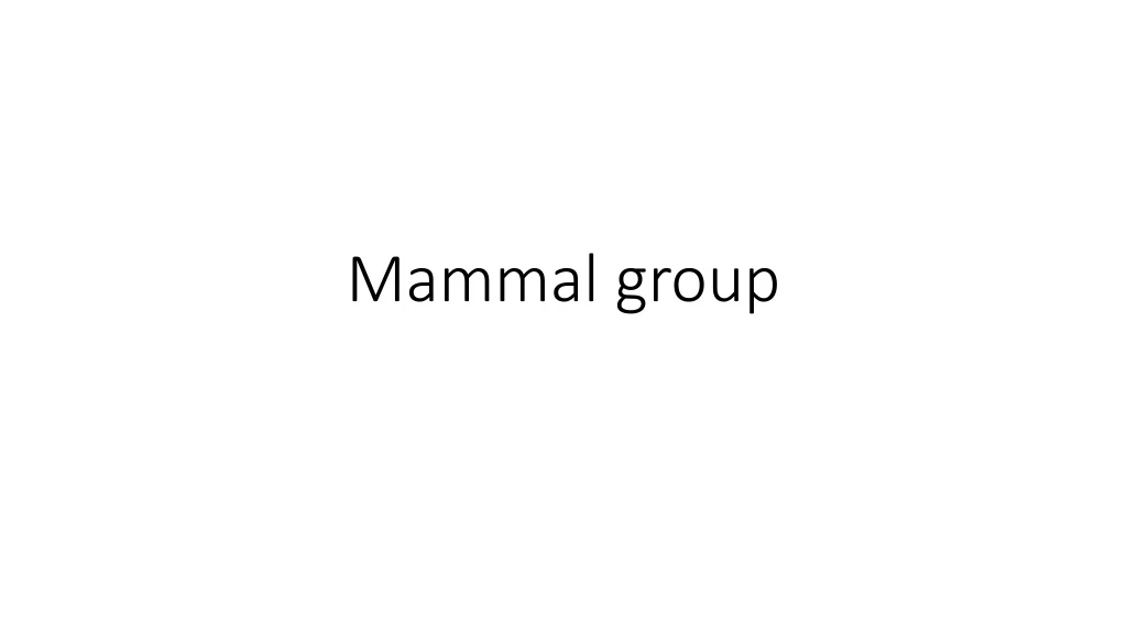 mammal group