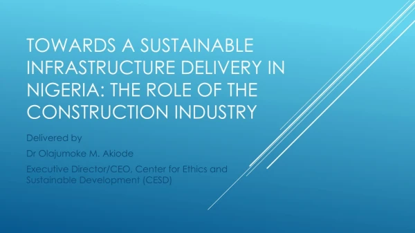 Towards a sustainable infrastructure delivery in Nigeria: the role of the construction industry