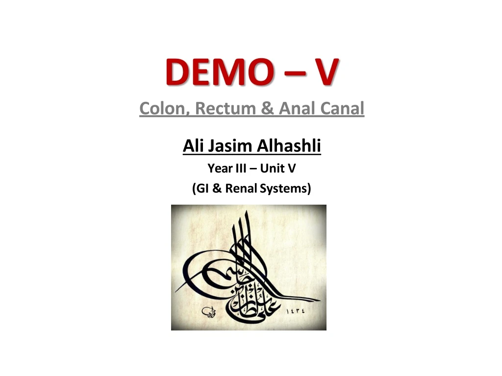 demo v