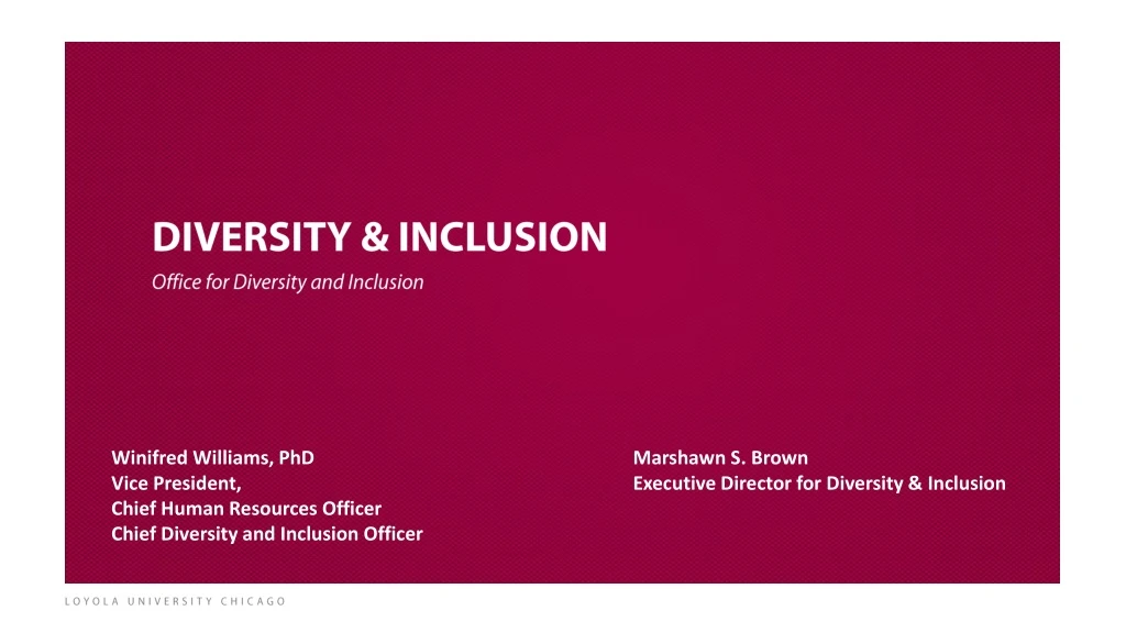 diversity inclusion