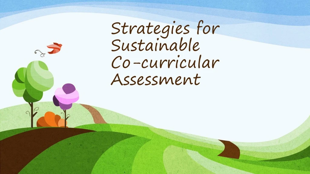 strategies for sustainable co curricular assessment