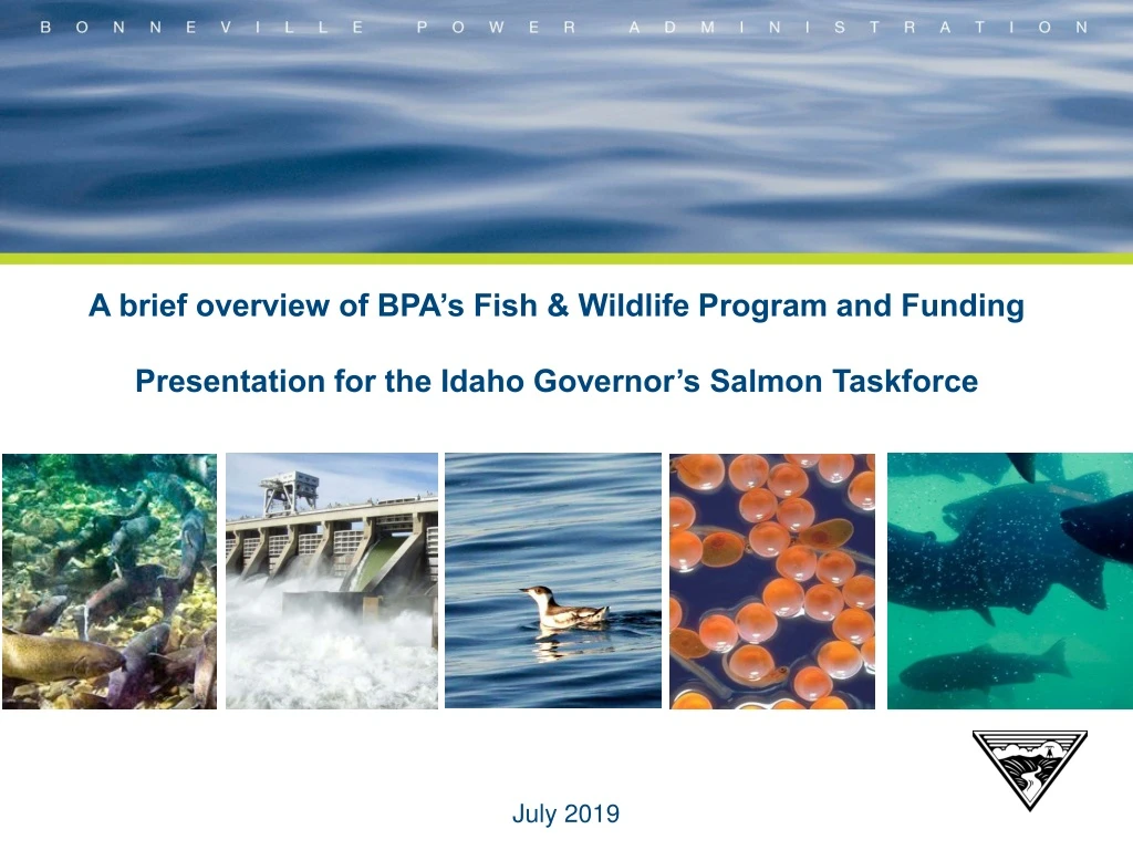 a brief overview of bpa s fish wildlife program