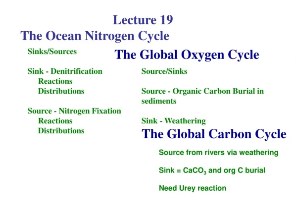 Lecture 19 The Ocean Nitrogen Cycle