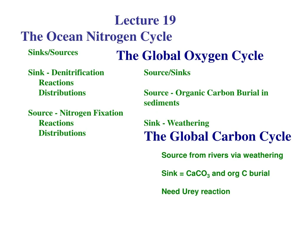 lecture 19 the ocean nitrogen cycle