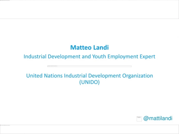 United Nations Industrial Development Organization ( UNIDO)