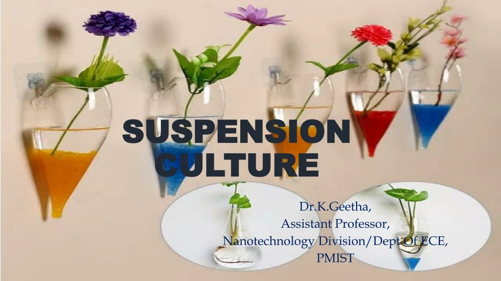 suspension culture