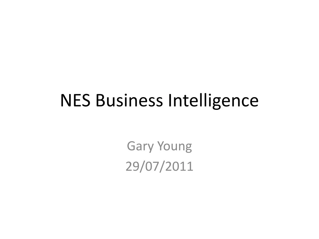 nes business intelligence