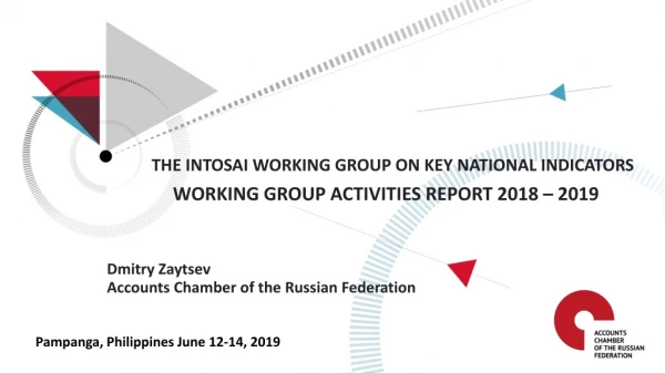 WORKING GROUP ACTIVITIES REPORT 201 8 – 201 9 Dmitry Zaytsev