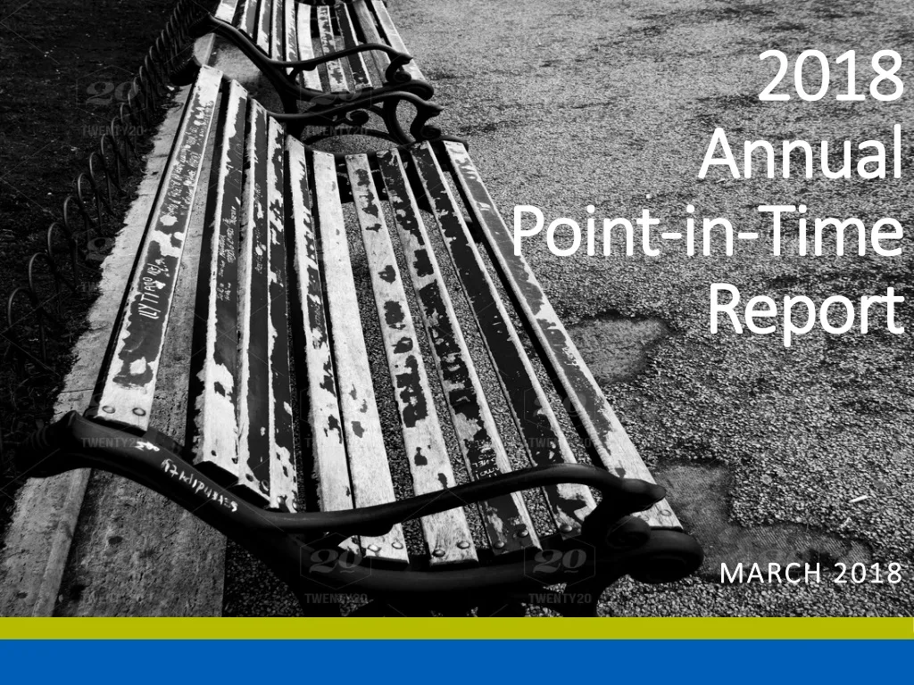 2018 annual point in time report