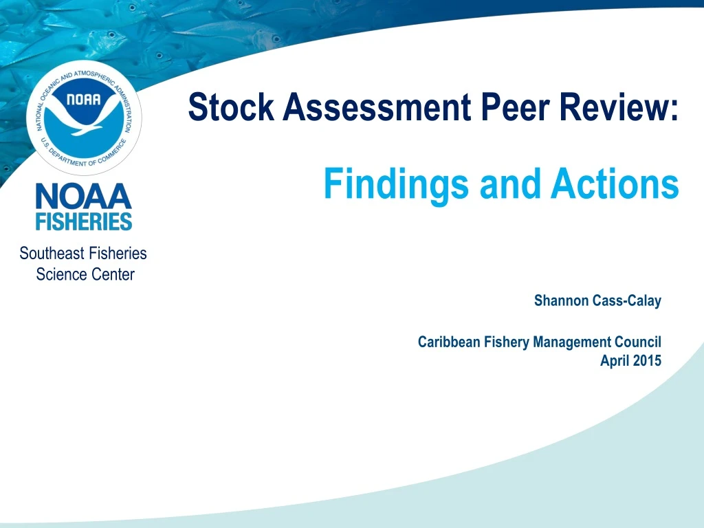 stock assessment peer review findings and actions