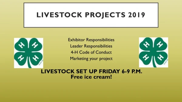 Livestock projects 2019