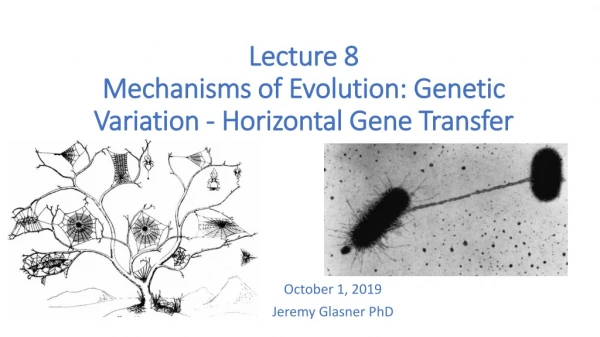 Lecture 8 Mechanisms of Evolution: Genetic Variation - Horizontal Gene Transfer