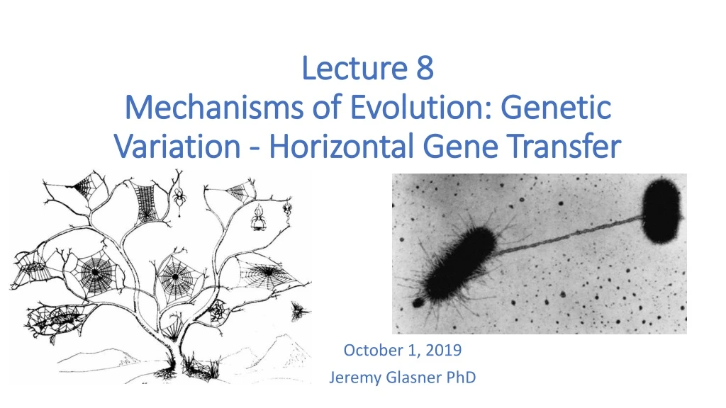 lecture 8 mechanisms of evolution genetic variation horizontal gene transfer
