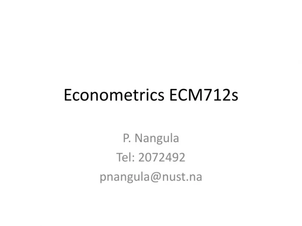 Econometrics ECM712s