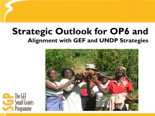 Strategic O utlook for OP6 and Alignment with GEF and UNDP Strategies