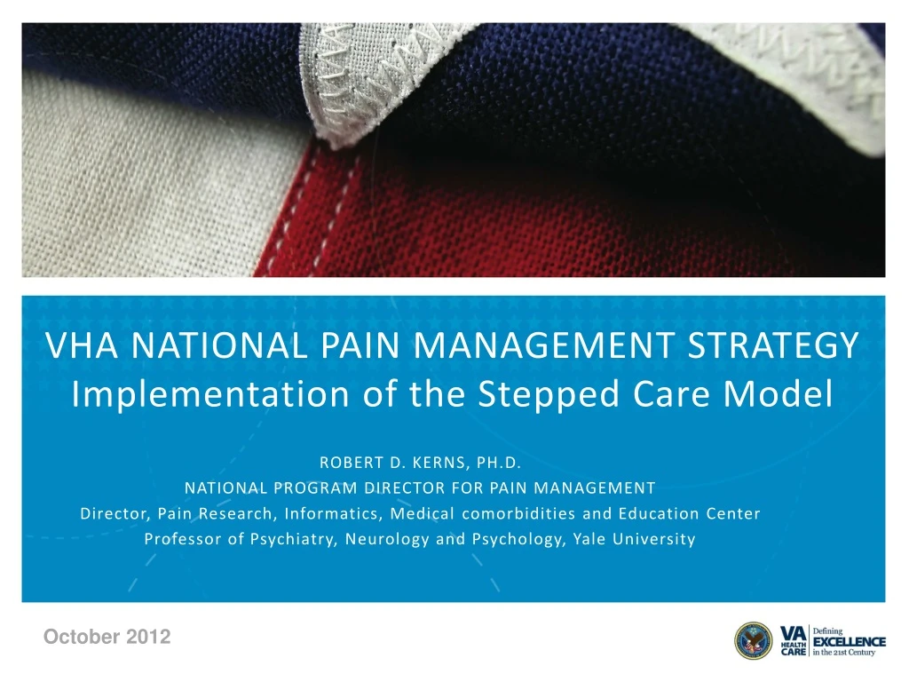 vha national pain management strategy implementation of the stepped care model