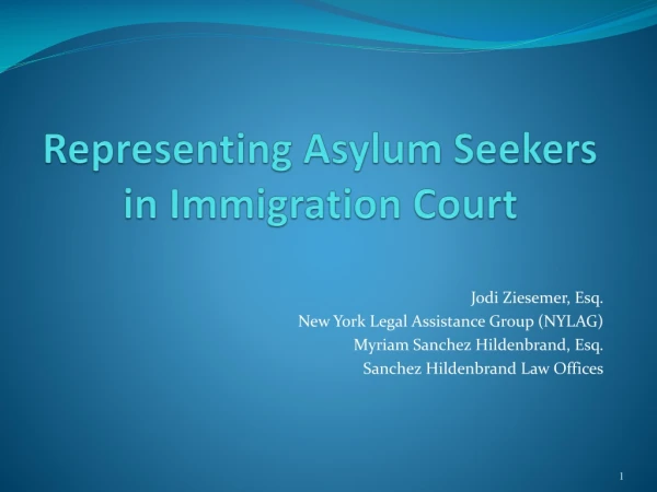 Representing Asylum Seekers in Immigration Court