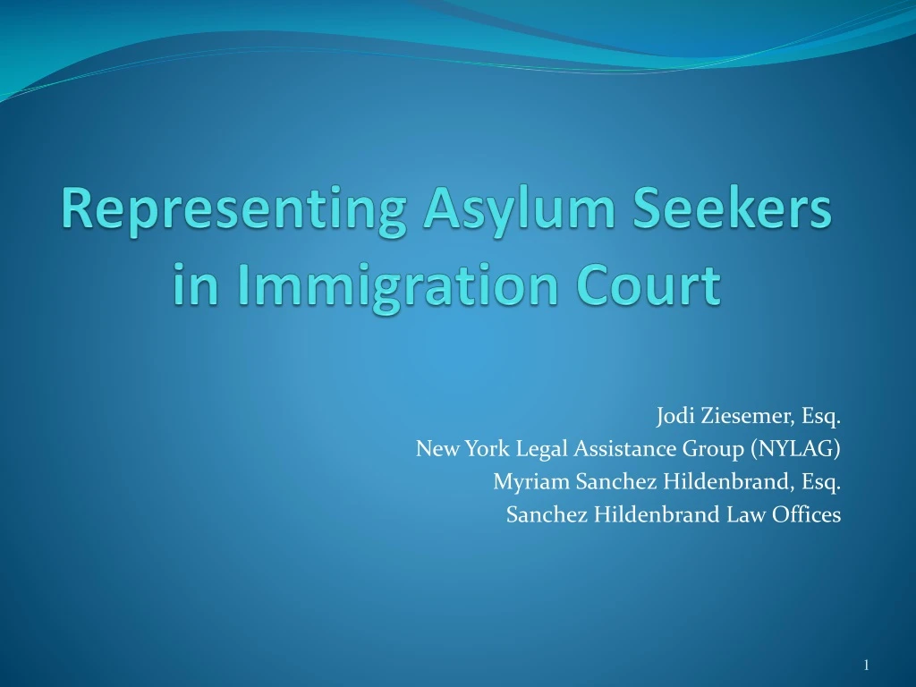 representing asylum seekers in immigration court