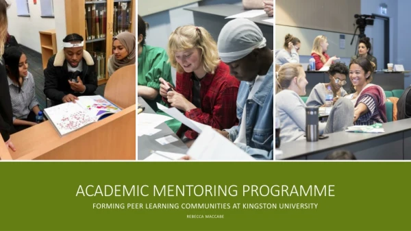 Academic mentoring programme
