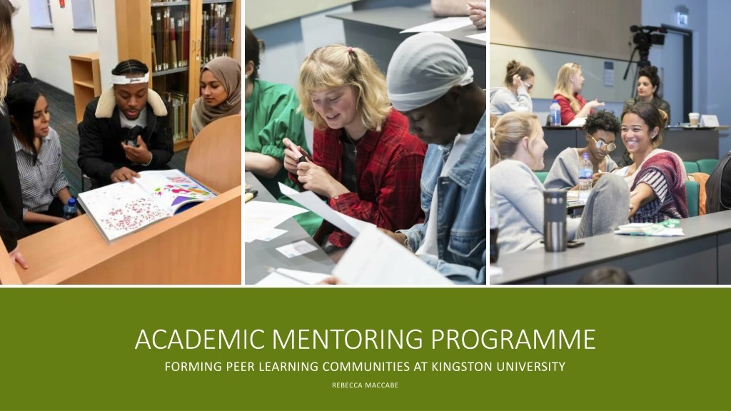 academic mentoring programme