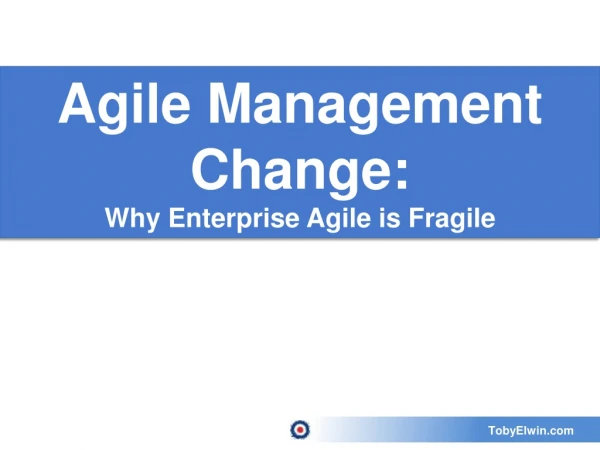 Agile Management Change: Why Enterprise Agile is Fragile