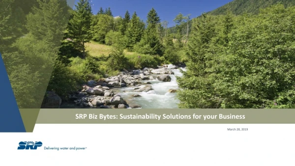 SRP B iz Bytes: Sustainability Solutions for your Business