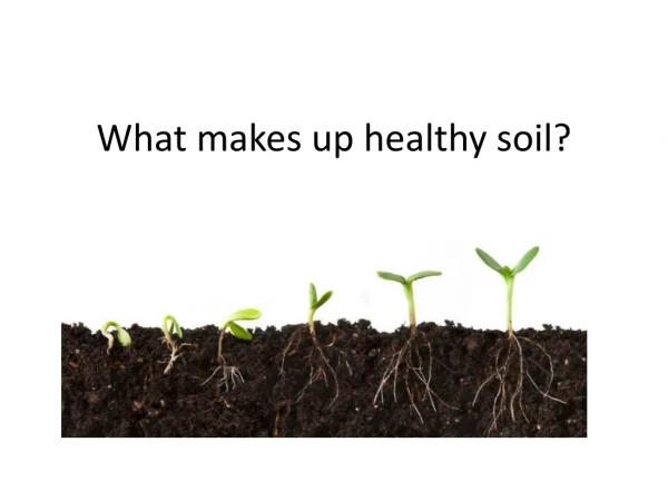 What makes up healthy soil?