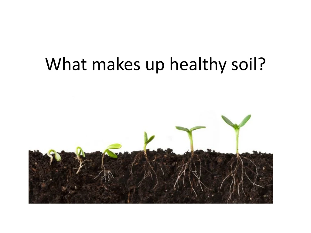 what makes up healthy soil