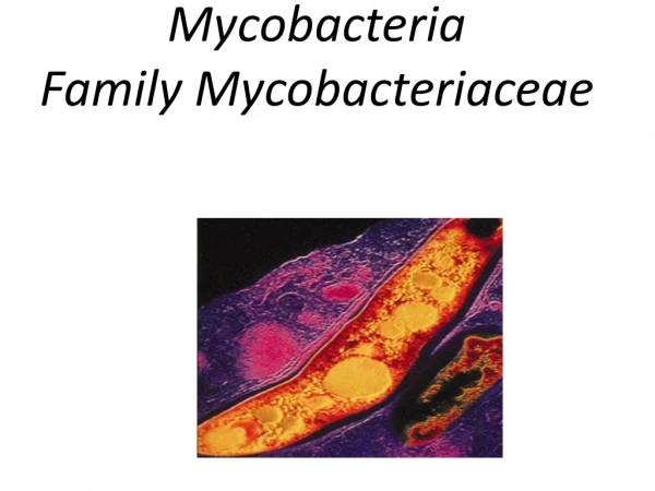 Mycobacteria Family Mycobacteriaceae