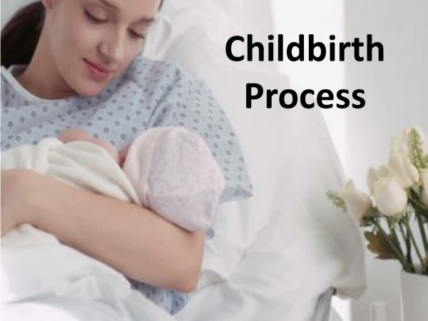 Childbirth Process