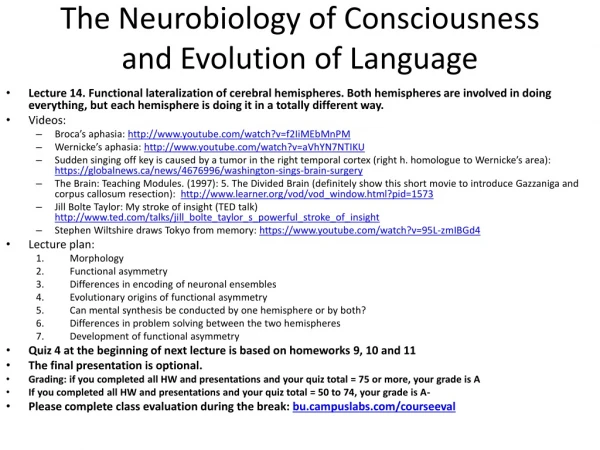 The Neurobiology of Consciousness and Evolution of Language