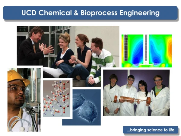 UCD Chemical &amp; Bioprocess Engineering