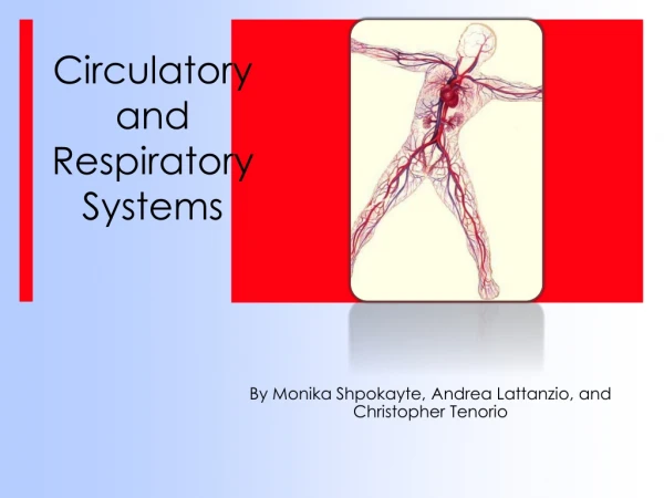 Circulatory and Respiratory Systems