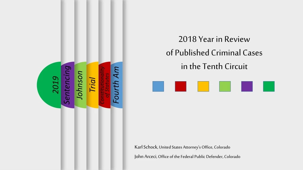 2018 year in review of published criminal cases