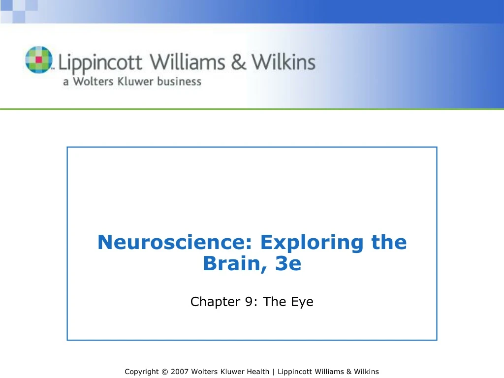 neuroscience exploring the brain 3e