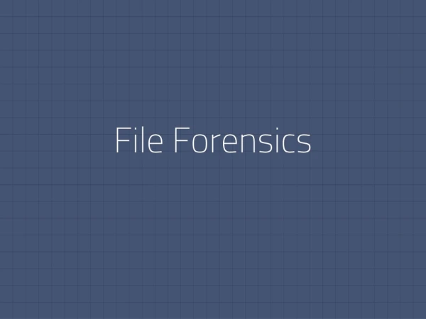 File Forensics