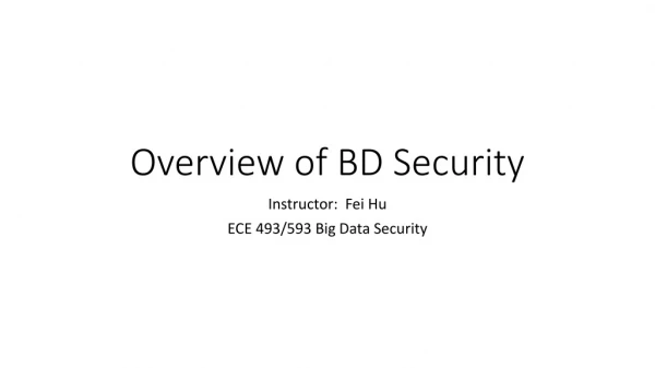 Overview of BD Security