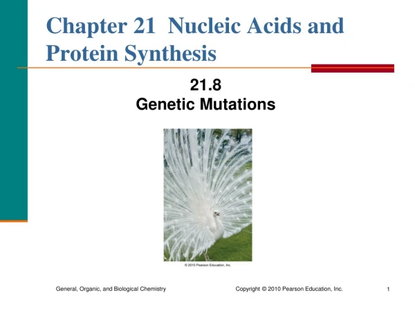 Chapter 21 Nucleic Acids and Protein Synthesis