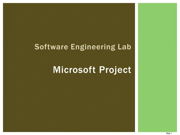 Software Engineering Lab Microsoft Project