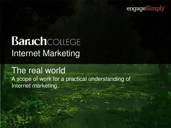 The real world A scope of work for a practical understanding of Internet marketing.