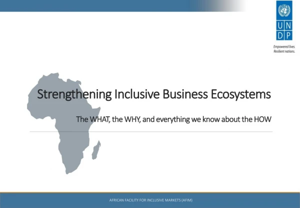 Strengthening Inclusive Business Ecosystems
