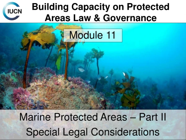 Building Capacity on Protected Areas Law &amp; Governance