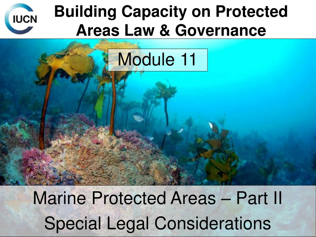 building capacity on protected areas law governance